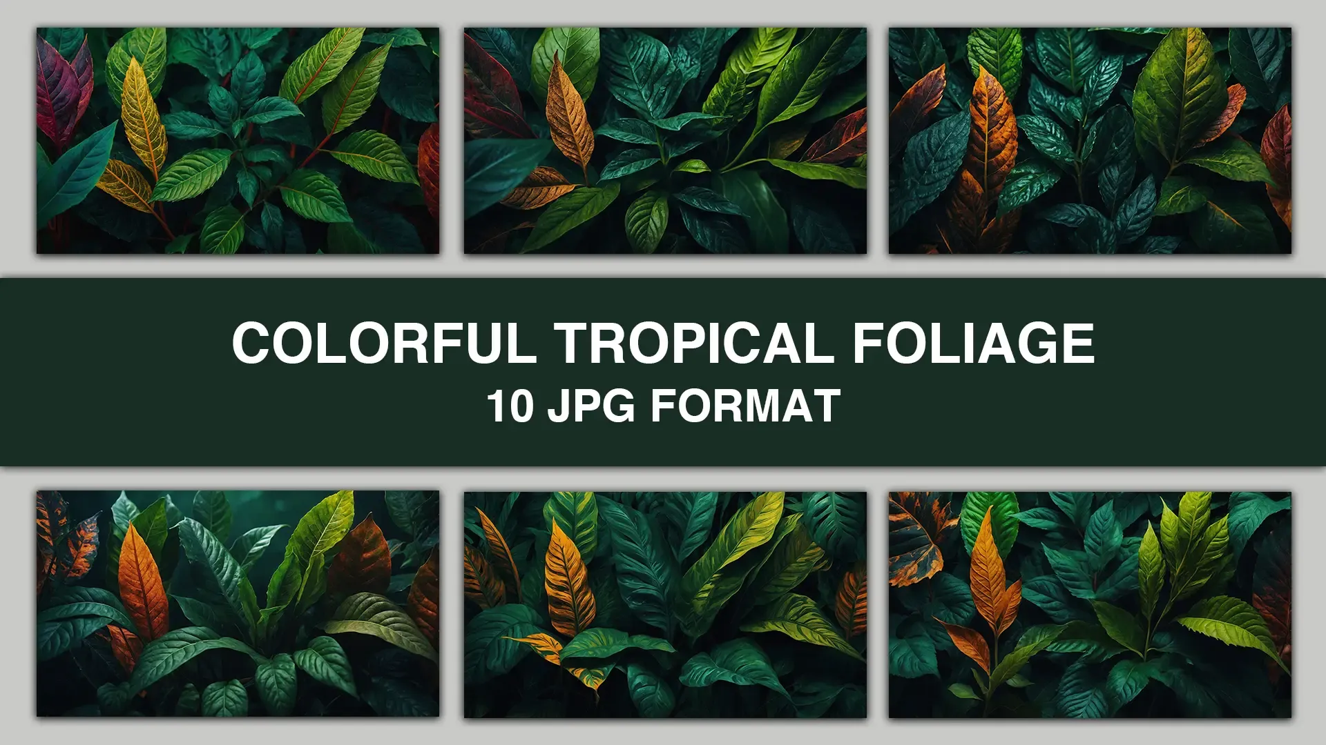 Colorful Tropical Foliage Backgrounds High Resolution Images image